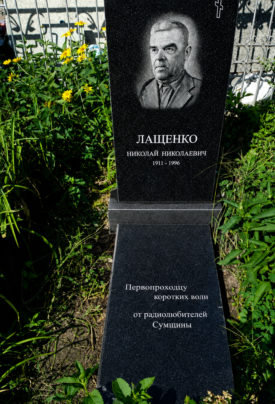 т